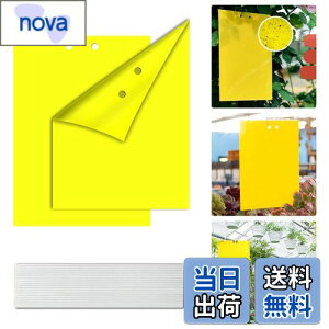 yBEAUTY PLAYERz SV[g ߒV[g hV[g QߊlS Aؔ  gbv 悯v[g XeBbL[ Sgbv tCO XeBbL[ Lb`[ n