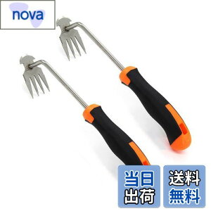 蓹   蓹 ܂ G G 2 XeX|  芙  Ƃ蓹 G  G ނ  ނ 