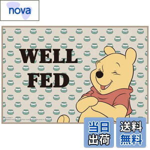 yzXP[^[(Skater) qp W[V[g  STCY 60×90cmTCY fBYj[ ܂̃v[ BOLD&TRU VS1-A