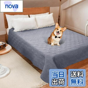 LOOBANI hJo[ xbh hV[c VO _u xbh  Lp xbhJo[ h \t@[ hV[c Rh~ ~ ƋveN^[ ۂƐ􂦂 ݑϐ  L h_j 