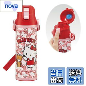 yzXP[^[(Skater) qp XeX   580ml n[LeB 낤 TI qɗDyʃ^Cv ۗp waterbottle X|[c{g 킢LbY q 