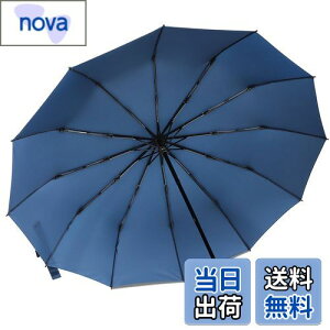 yz܂肽ݎP ZruieryTCYE12{z ܂ݎP y Y fB[X 傫 12{ xOXt@Co[ ϕ 蓮J 肽ݎP 䕗Ή JΉ 