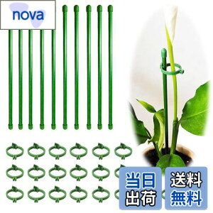 yzBIUTEFOR x | Ax ϗtA x yԎx*10/tH_*20zԎx Ӓϗtx U x AT|[g _Ɨp |pi K[fjOԎxx y30CMz