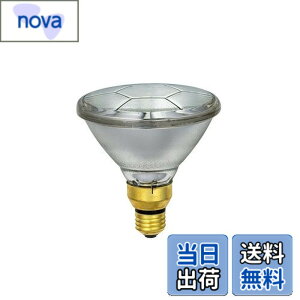 �y���������zELPA �r�[���� 120W E26 �W���^ EBRS110V120W/N