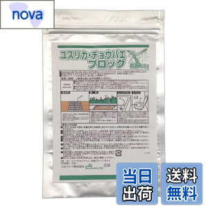 yzRCt(Comolife) XJE`EoGubN50g Q΍ } a  gC J}X(:1~2)