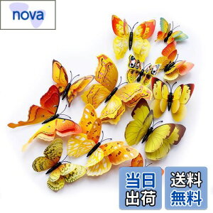 yzULIN  3D  EH[XebJ[ ǎV[  ʃe[v V[ rO ① CeA ǃV[  킢 EH[y[p[ |X^[ CG[