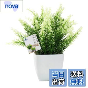 yzTOSSOW lHϗtA  tFCNO[ tFCNϗtA l CeA v[g Ηt