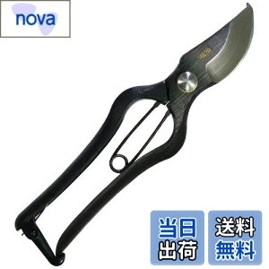 yzߗ^(KONYO) { ł  炩Ȑ؂ƊmȐ؂ꖡ ̂Â̊XuVOsv̏ɂ`Zp 20.5cm