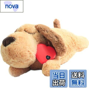 yzDEWU ybgpn[gr[gʂ݁Aqŝ\tgybgg[ʂ݃X[sOofBs⏕sɘa⏕ʂ݃X}[gL