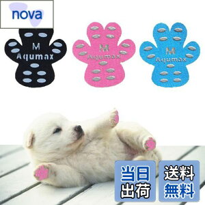 yzAqumax 48 ~ pbh   pbh  ybg CS͂ ~  ی h~ ׂ ~ tbg  p pbh-d؂̏犊藎̂hgNV