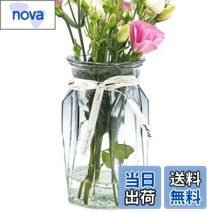 yzOFFIDIX ԕr KX t[x[X  Ԋ k͔| CeA  Cxg  AWg  ItBX z[fR[V Of[V k 