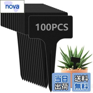 yzzakata |x A^O Ax  T^x 100 | Ԓd A K[fjO Ďgp\ K[fjO Ŕ ~j CeA |pi