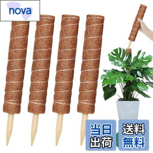 yzYOUSHY440cm|x ϗtAXe x wSx鐫A ϗtA RRXeBbNx AT|[gt[X^h RRibcx Ԏx K[fjOx _