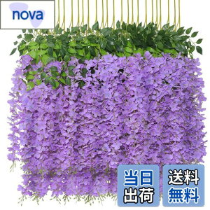 yzsiawadeky ̉  12{ lH lHϗtA ͂Ȃ ΂̗t 艺 ԏ x_ K[f  p[eB[ Ǒ ԗ VN ʐ^Be 뉀 