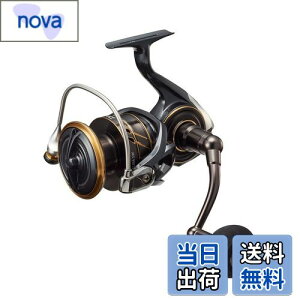 yz_C(DAIWA) XsjO[ 22CALDIA(JfBA) SW 10000-P