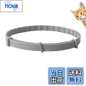 yzItisyou ybg悯 L m~ ybg̒ m~    38cm