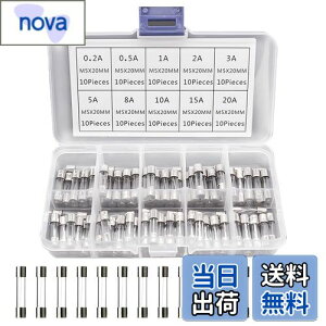 yzFUSHUI KXǃq[Y dݗpq[Y ǃq[YZbg 100Zbg 5*20mm NCbNu[KXǃq[Y zی 0.2/0.5/1/2/3/5/8/10/15/20A e10{