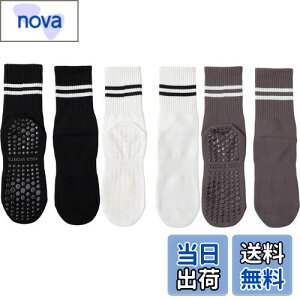 yz[DFsucces] K\bNX ~ KC 3 Õ\bNX  ۉ seBX \bNX RۏLC z z ʋC X|[c tBbglX I[V[YΉ 