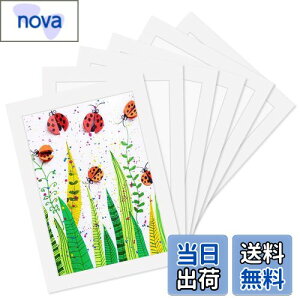 Haojiaho Wp tHgt[ 6Zbg A4TCY ypCz q̊G Wp A[gt[ Ǌ|  y  G拳 G W y[p[tHgt[ q pH[ 