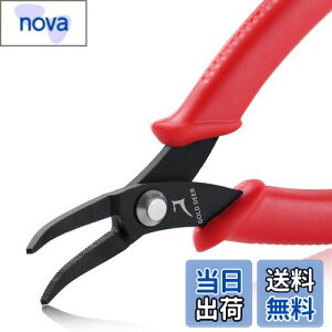 GOLD DEER Ȃ胉WIy` at ^ ~j  Ȃy` ɍ Ȃy` bȃWIy` ȂvC[ xg ׂƂ WG[쐬p Ȃ bgR 