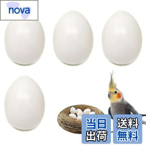 yzPAVIKE U  4Zbg CR tFCN`LGbO bgngɐBpi lHlXg HiTv tFCN_~[GbO IJCR ERCR RUNC