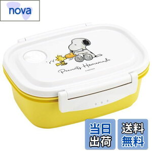 yzXP[^[(Skater) Ny y ٓ M 550ml WΉ V[e ۑe Xk[s[  { XPM4-A