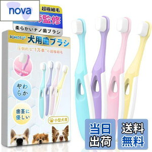 yzSOMOTO  uV ^ ybtďCE1{̒ɍזсzpuV ybg L imuV oPA/_炩/sɗD ypELpEJt4FZbgz