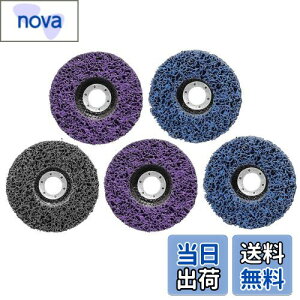 【送料無料】STEBRUAM クリーニング 研磨 ディスク 125mm 5個セット サビ クリーニング DIY木材 塗装ペイント除去 研削金属 サンダー ペンキ ディスクグラインダー 研磨パッド グラインダー(2枚プ