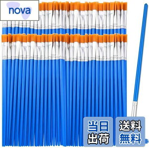 yzDFsucces M GM 50{Zbg 16.5cm ޕM ʕM vf h ʉ G AN yCg