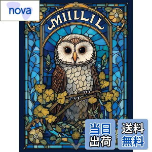 yzReofrey _Ch̊G _ChA[g NXXeb` Lbg tNE, Lbg Sʓ\t^Cv r[YA DIY |Lbgz[ Xg CXg