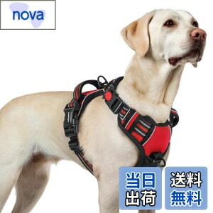 [ŐV^n[lX]rabbitgoo  n[lX p ^/^/^ h~ TCY\ A^}ʂ Ԕˍ Ȃ ʋC Pݖh~ s⏕n[lX V 