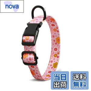 yzBaoCheng   P ^ ^ ^ P݌y TCY\ y Ȃ ʋC ȒPE  S p P s⏕ U  Lʗp (s