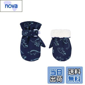 yz[Tidyworm] xr[    ~ Ԃ  ~g h h V LbY  O[u j̎q ̎q qp ΍ ʉ ʊw AEghA (lCr[, 6`2)