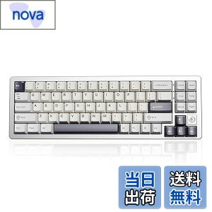 yzYUNZII AL71 JjJL[{[h 68% RpNg tA~CNCH KXPbg\ [Bluetooth/2.4G/USB-C O[hڑ] zbgXbvΉ NKRO RGBobNCg Win/MacΉ ZKF