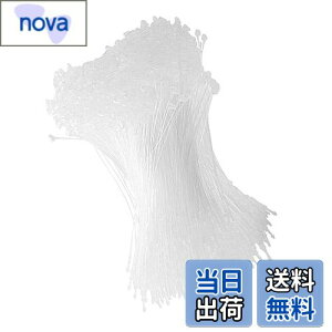 yzDFsucces ^Ot@Xi[ [vbN 1000{ lD ɕ֗ [vs vX`bN Xܗp e[v  ^O Ɩp mp (, 18cm)