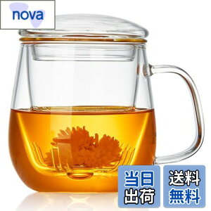 yz|JeB[ t}OJbv ϔMKX eB[Jbv 520ml Infusion Mug  }bO Wt ΑΉ dqWΉ g }OJbv NARbv  [teB[ H