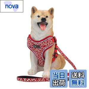 yzTHAINn[lX[hZbg  ^ h~ ͗l Ԕ TCY߉\(M ͗l)