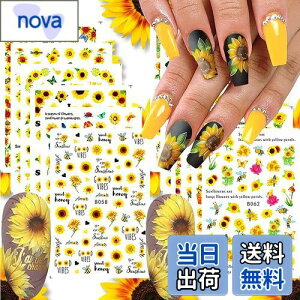 yzLANODO 12 lCV[ 3D ̃X^C Ђ܂ DIY lCV[Zbg Ył A