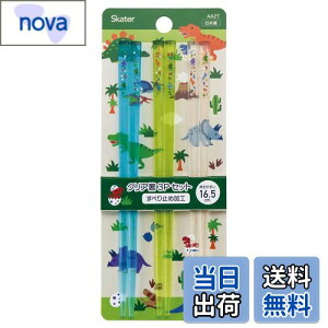 yzXP[^[ (skater) AN NA  16.5cm 3Vg fBmTEX { AA2T-A