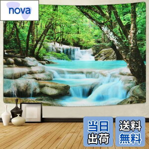 yzPknoclan X^yXg[ kǊ|^yXg[ X̃JXP[h^yXg[ Riz|X^[  X̑ 235x180cm唻Ǌ|z   ͗lւ CeA