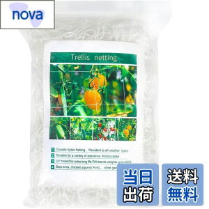 yzDERAYEE |lbg |pgl 1.67m×c5m 15cmԖ iq A