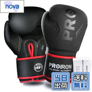 �y���������zPROIRON �{�N�V���O�O���[�u 12oz �{�N�V���O�p�O���[�u �p���`���O�O���[�u ���� �ϋv�������� ���K boxing gloves �����e�i���X�o�b�O�t�� 1�N�Ԃ̕ۏ�