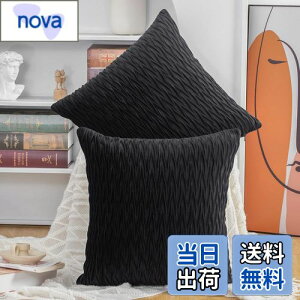 【送料無料】Madizz クッションカバー 2枚セット 北欧 柔らかい ビロード無地 背当て 装飾 枕カバー 座布団カバー ソファ用 寝室用 50 x 50 cm ブラック