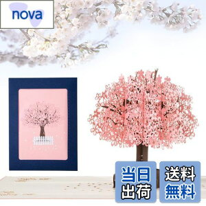 yzKesote bZ[WJ[h  ̃J[h |bvAbvJ[h o^C    t