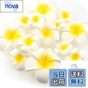 yzYesallwas wA Nbv s vA  7cm 20Zbg Ԃ̂  wA Nbv s vA   DIY  p[eB[p t ʐ^Be