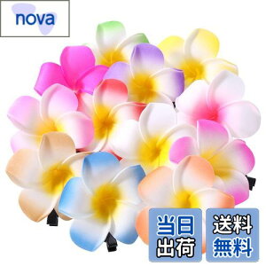 yzFrcolor  wAs wANbv  vA wAANZT[ wANbv nC  wbhhX 6cm 12F 24Zbg