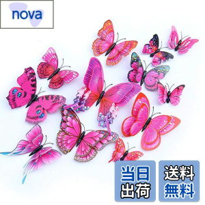 yzULIN  3D  EH[XebJ[ ǎV[  ʃe[v V[ rO ① CeA ǃV[  킢 EH[y[p[ |X^[ p[v