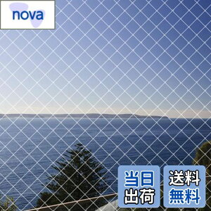 yzhlbg x_悯lbg 4m×10m JX ΍h ʎ؍͔|hblbg LNEh~ F ioh 15{tjLimthe