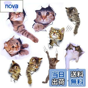 yzPazi EH[XebJ[ L   XebJ[ ˂ V[ 킢 3D ȒP DIY  \Ă͂  ǎ gC  Lb` CeA