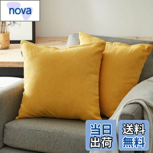 yzTopfinel NbVJo[ lۂ 45×45cm k  Ȗ n \t@w Jo[ zcJo[ CG[ 2ZbgiS10Fj